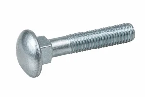 Baut Carriage (Cup Square Bolt)